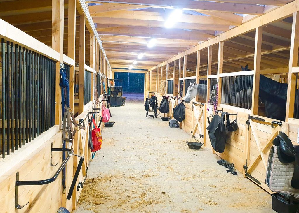 Stajnie angielskie akcesoria dla koni. Sklep dla Koni