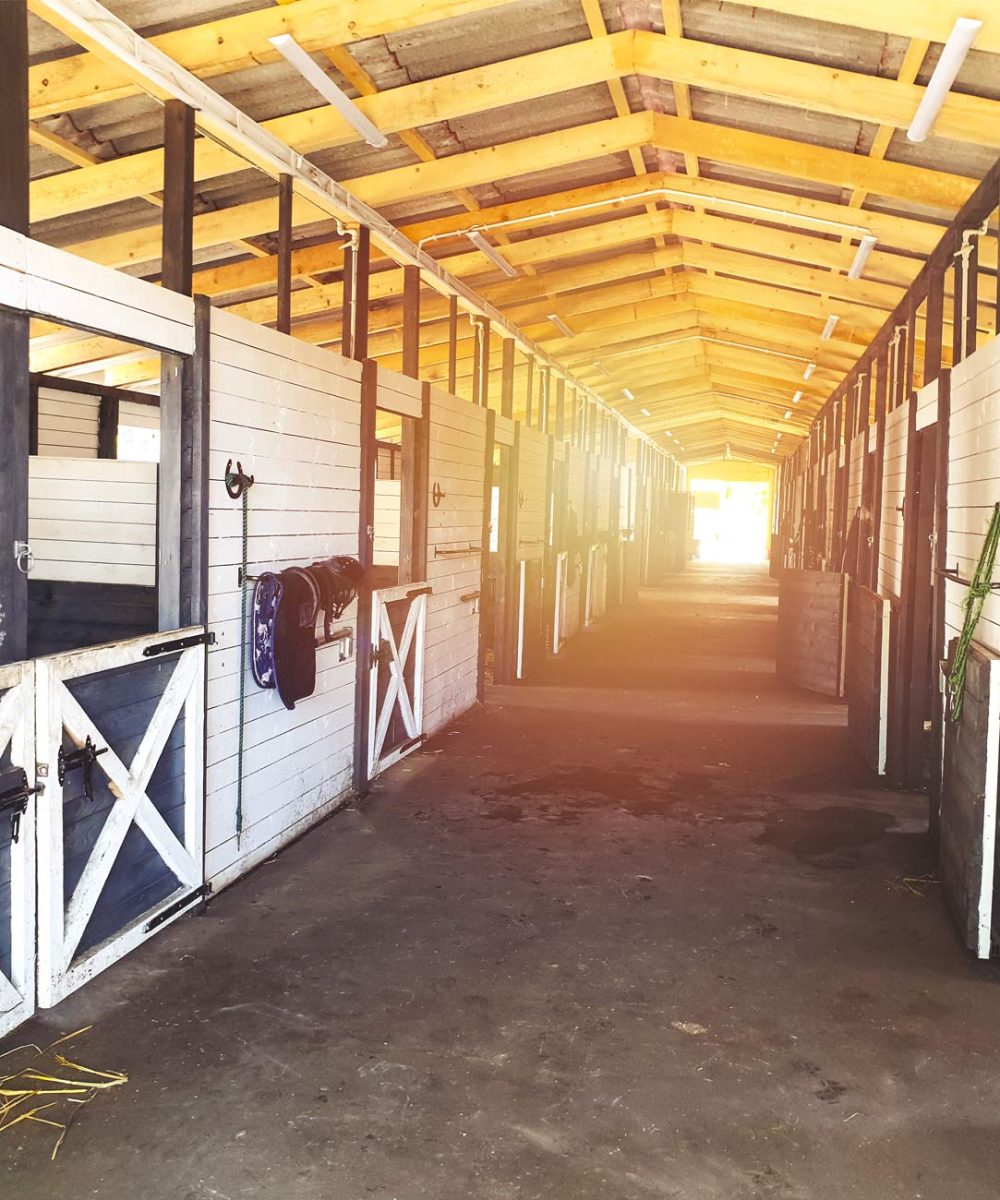 Stajnie angielskie akcesoria dla koni. Sklep dla Koni